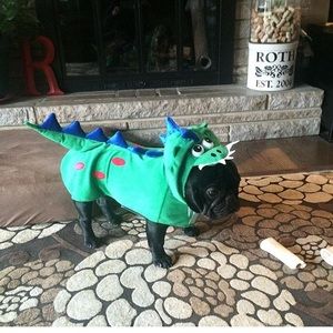 Doggy Dino costume